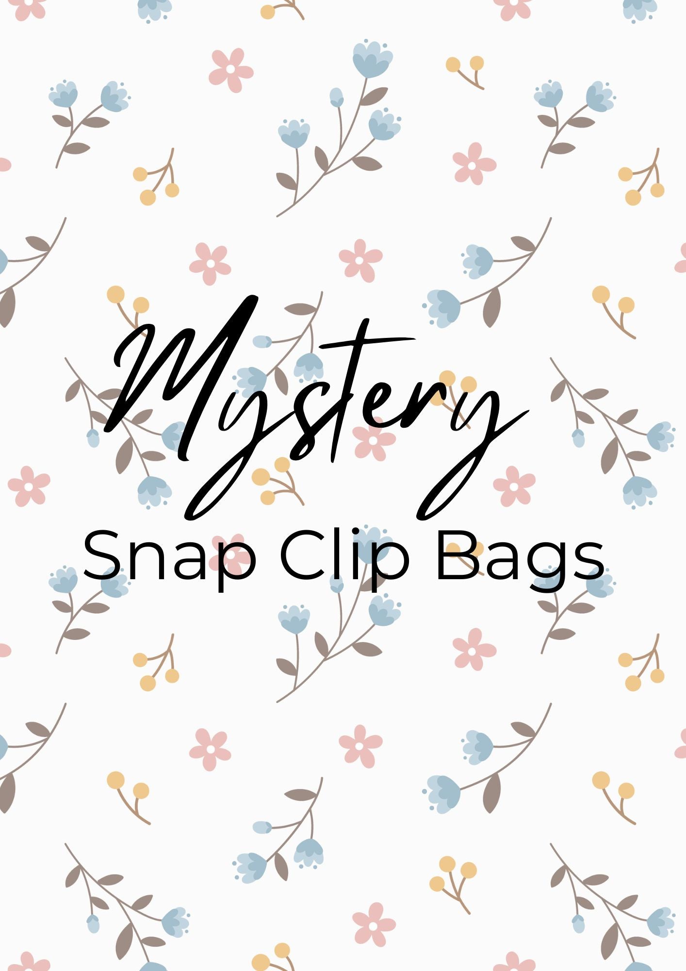 Mystery Snap Clip Bags